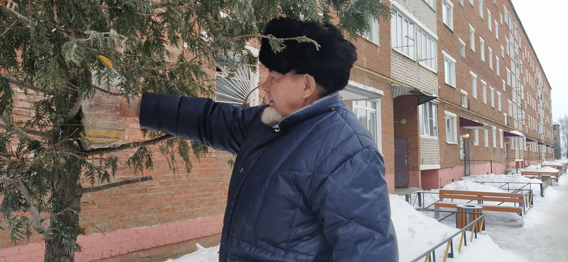Житель многоквартирного дома в Агрызе всю зиму кормит птиц