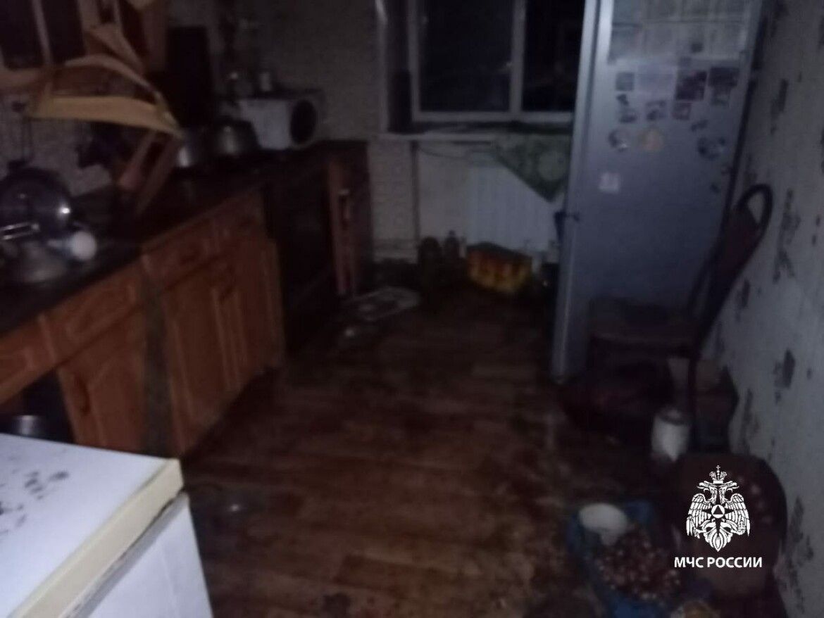 На пожаре в Агрызе погиб мужчина