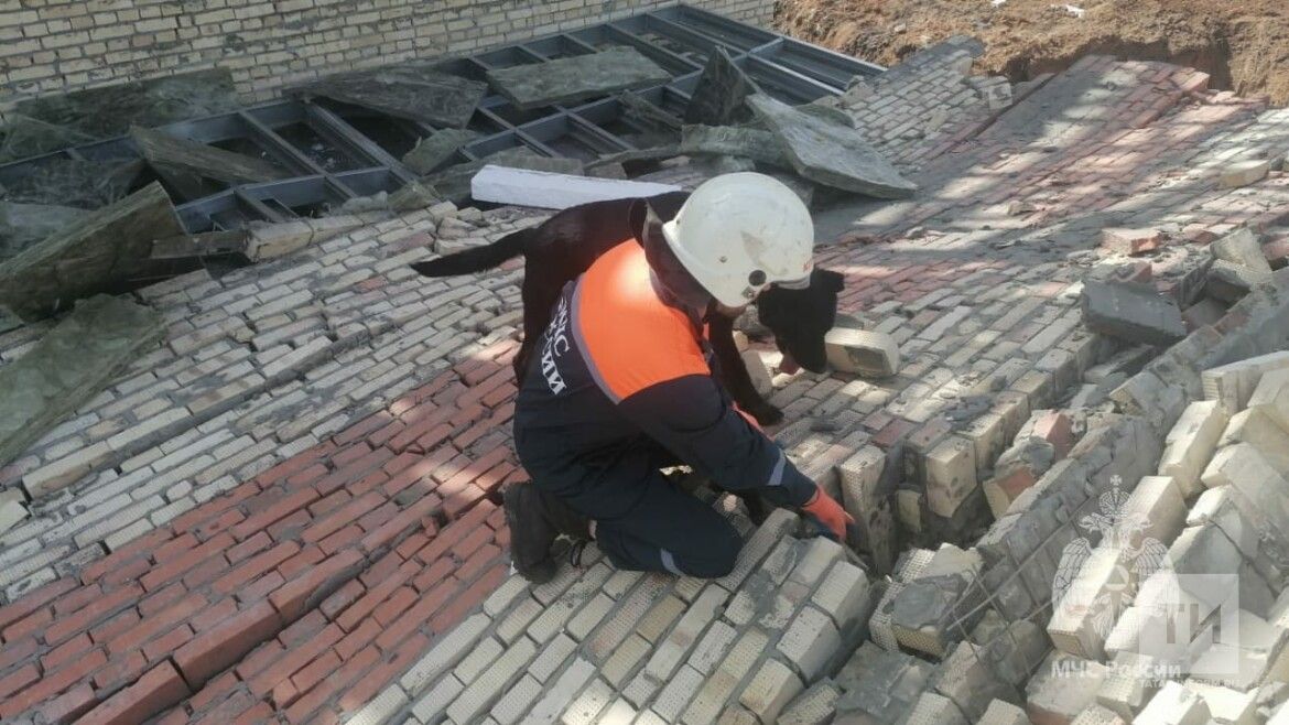 Под обрушившейся стеной в Куюках могут находиться люди (ФОТО)