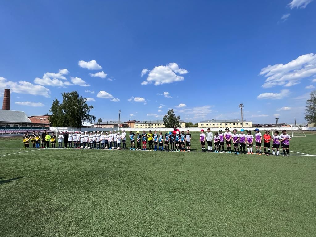 В Агрызе состоялось открытие Первенства РТ по футболу