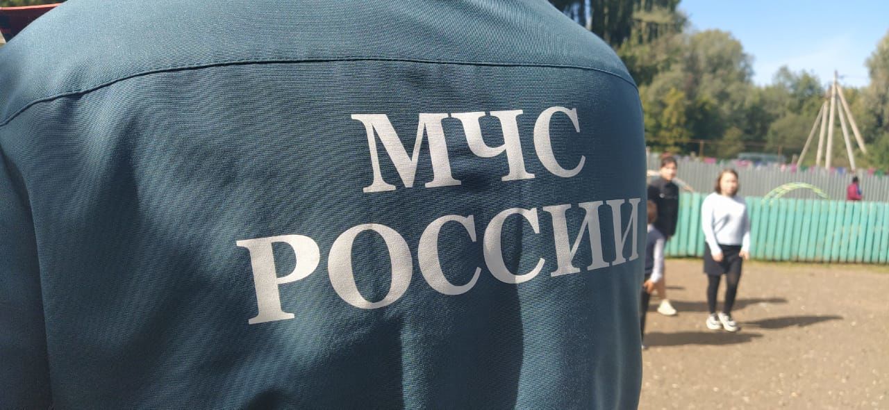 Девушка заблудилась и 18 дней бродила по лесу