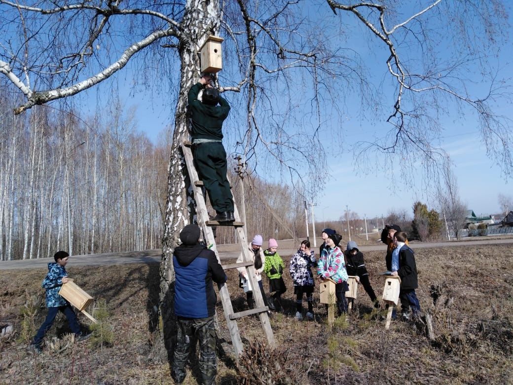 Ученики Кучуковской школы создали скворечники к Международному дню птиц