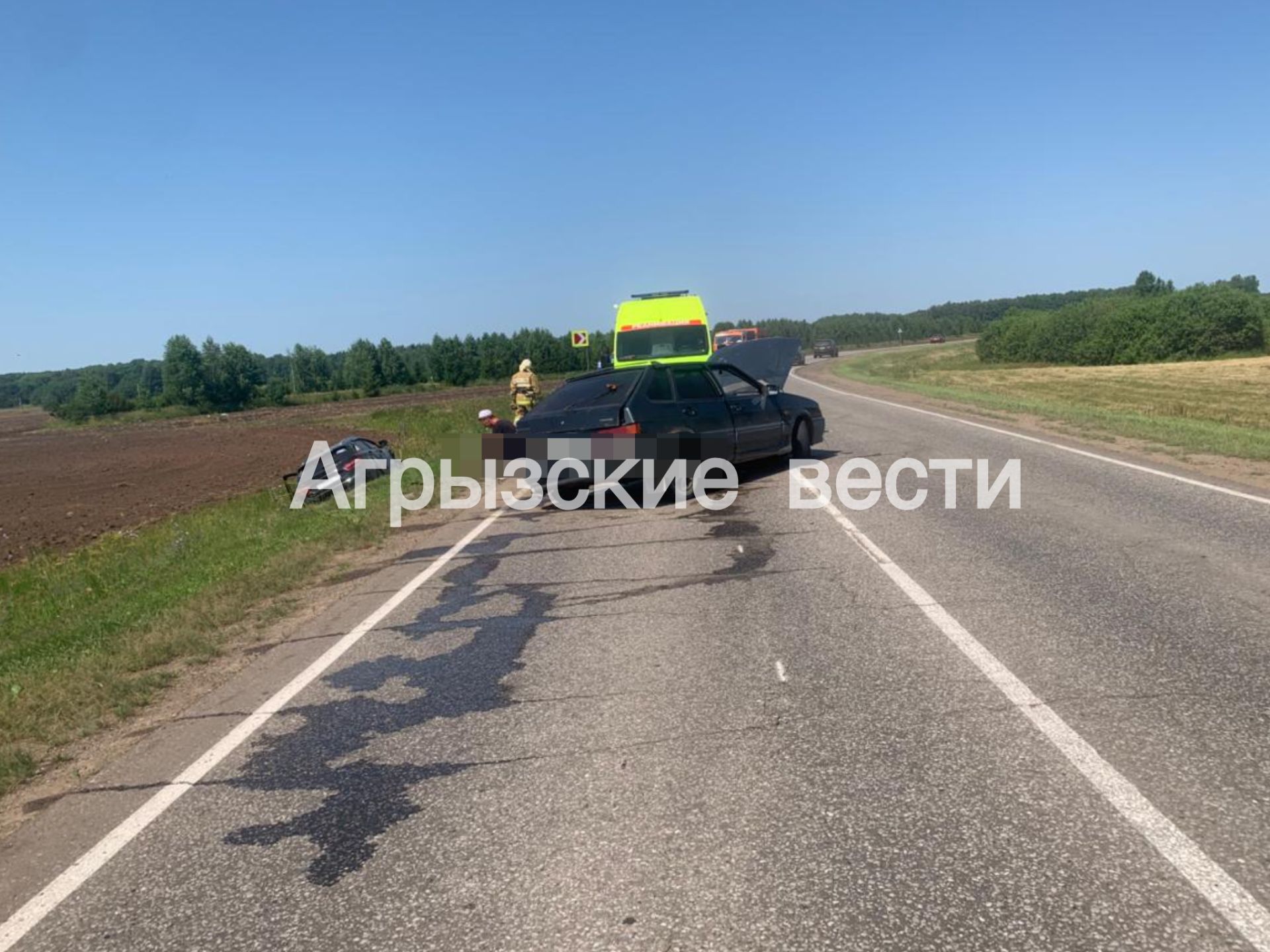 Водитель ВАЗа попал в больницу после лобового столкновения в Агрызском районе