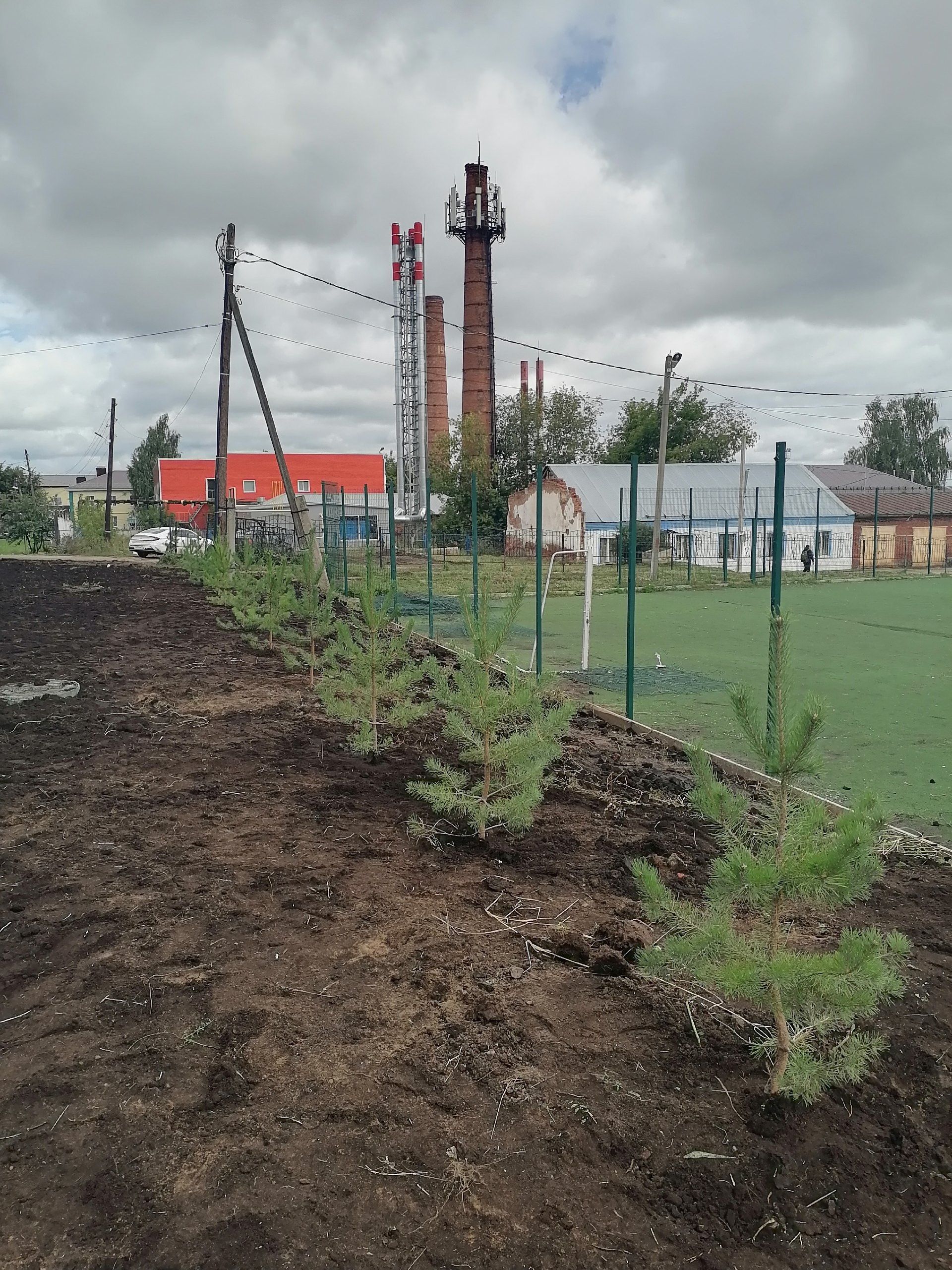 В Агрызе появилась Аллея спортивных наставников