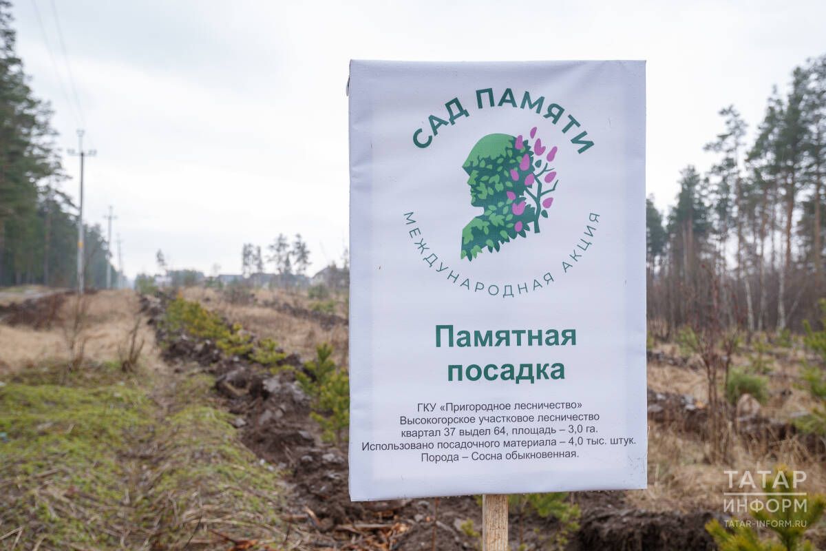 Международная акция «Сад памяти» начнется в Татарстане 25 апреля