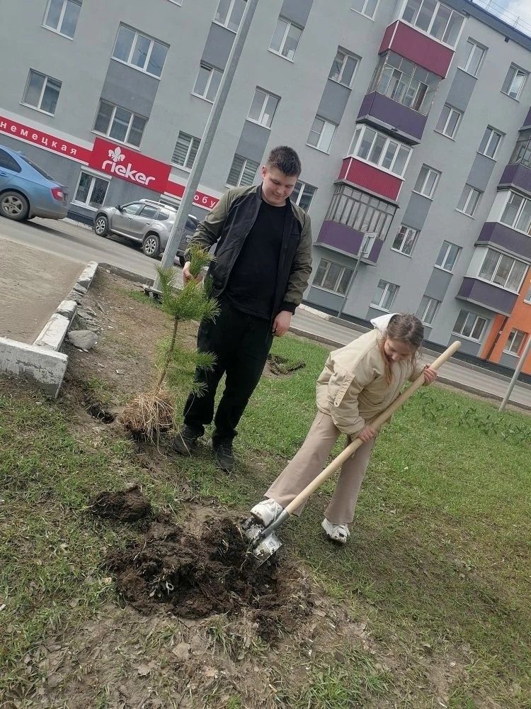 Ученики школы №4 приняли участие в акции «Сад памяти – 2026»