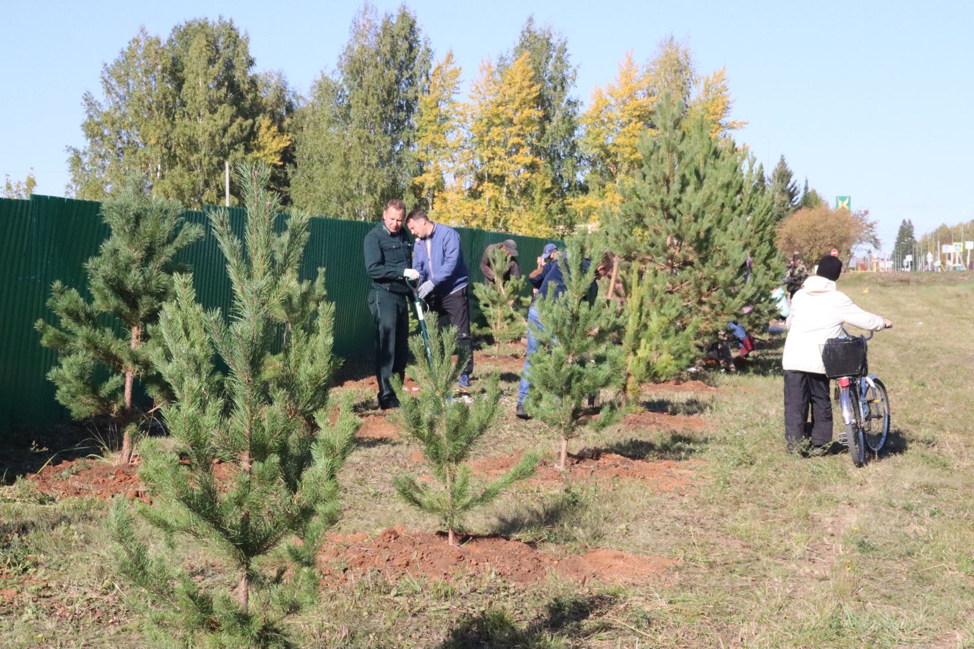 Новая аллея в честь Асафа Абдрахманова в Агрызе