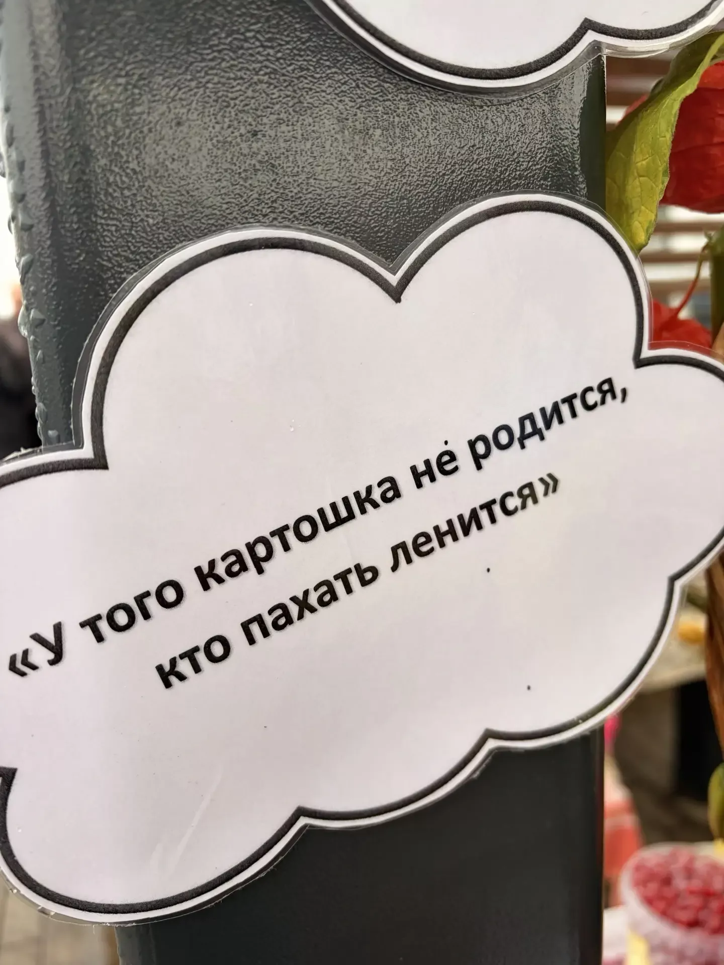 Осенние ярмарки в разгаре!