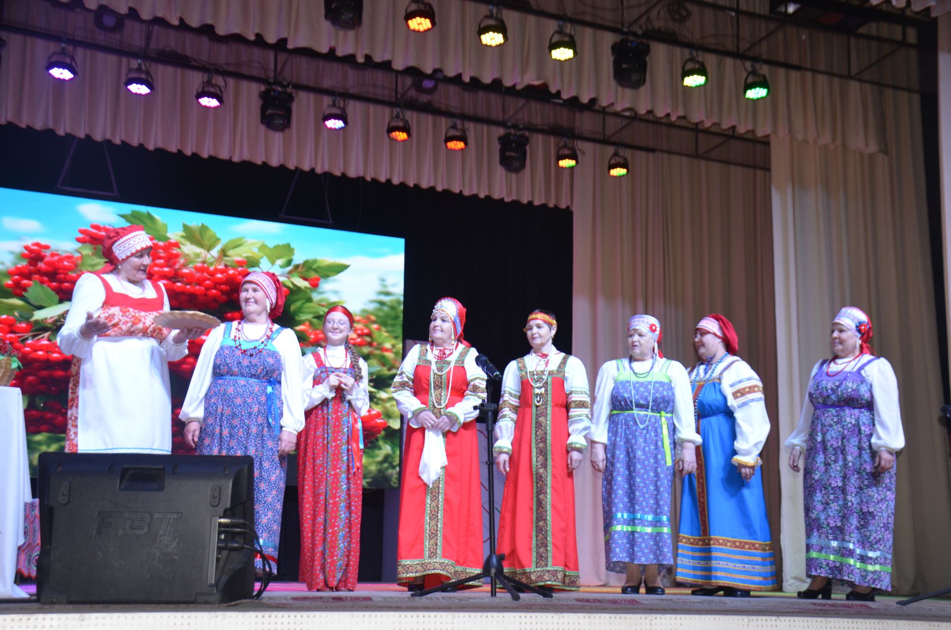 Триумф талантов: в Агрызском районе прошёл гала-концерт «Радуга культур»