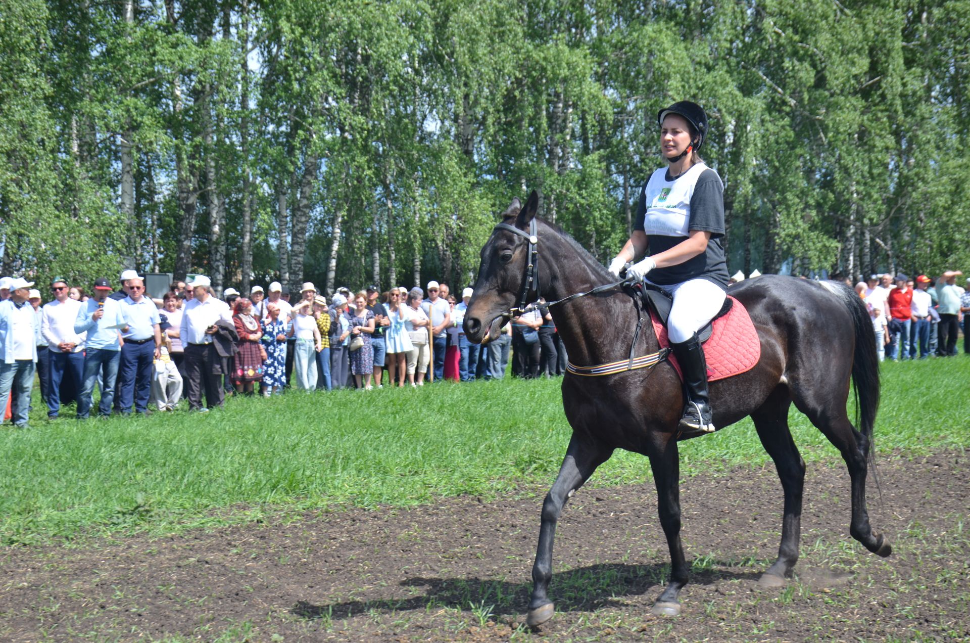 В Агрызе состоялся народный татарский праздник - Сабантуй