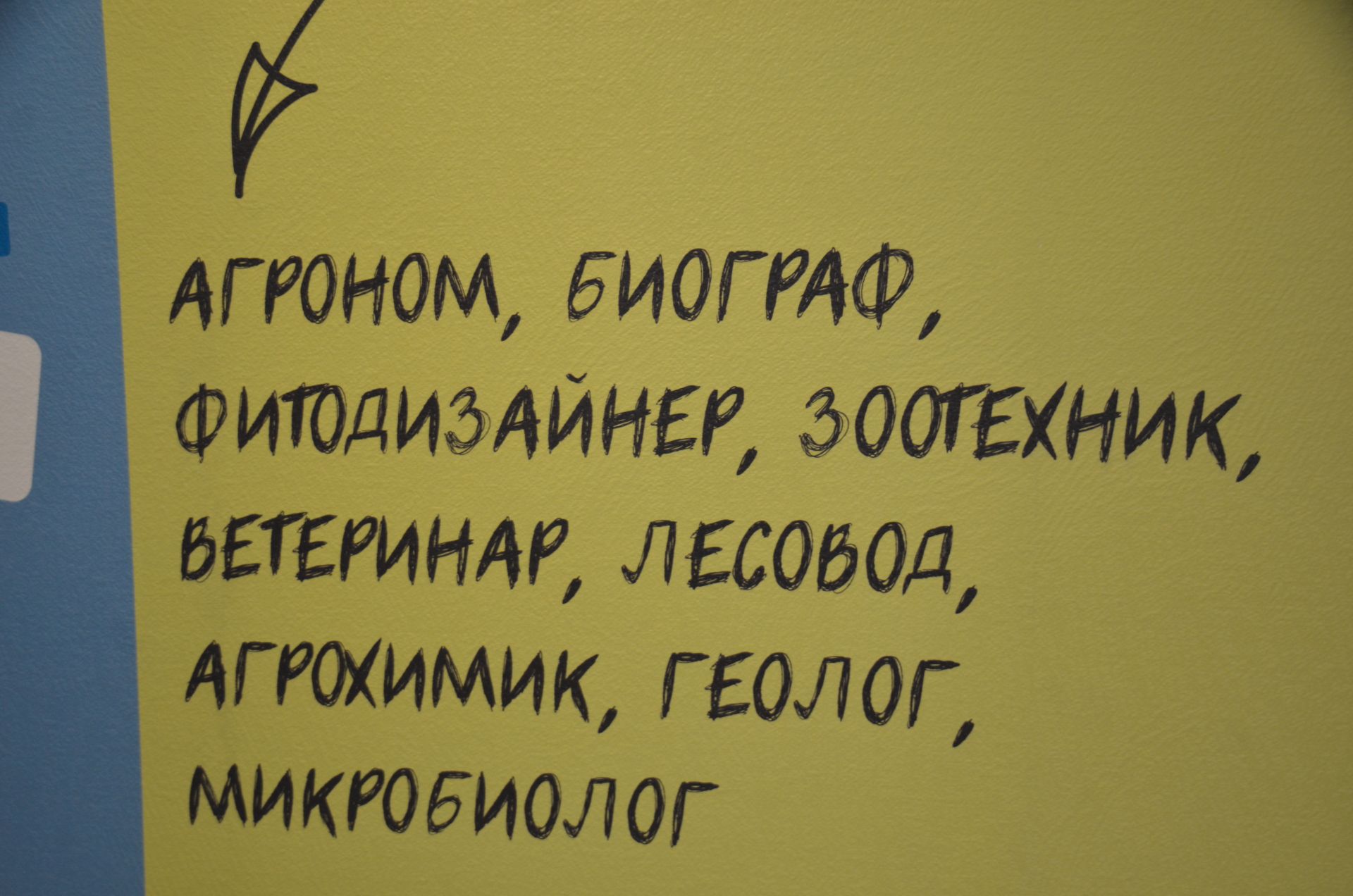 В Агрызе открылась новая гимназия №1 имени Асафа Абдрахманова