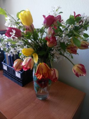 С Днем учителя!