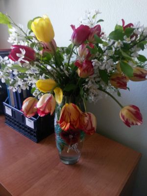 С Днем социального работника