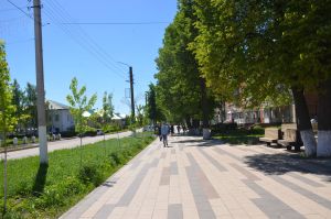 Жители Агрызского района направили через цифровые платформы около 180 обращений