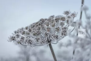 Морозы в Татарстане отступят только к выходным: в субботу столбик термометра поднимется до -1°C