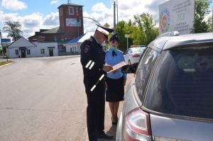 В Агрызском районе проводится профилактическое мероприятие «Трезвый водитель»