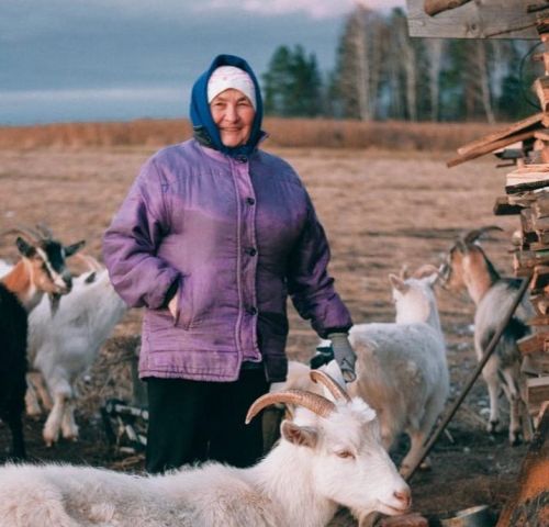 Зульфира Тайганова из Иж-Байков: Козы – очень умные животные, которые не доставляют лишних хлопот