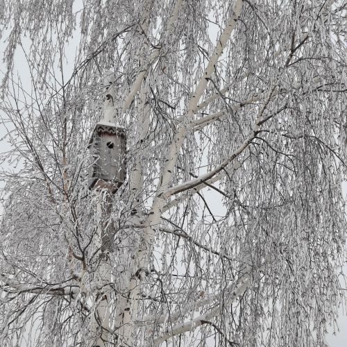 Прогноз погоды на 28 января