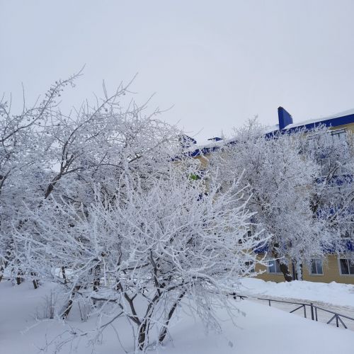 Прогноз погоды на 30 января