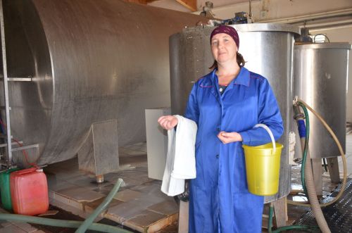 Доярка Гульсылу Сайфутдинова: Не представляю себя на другой работе