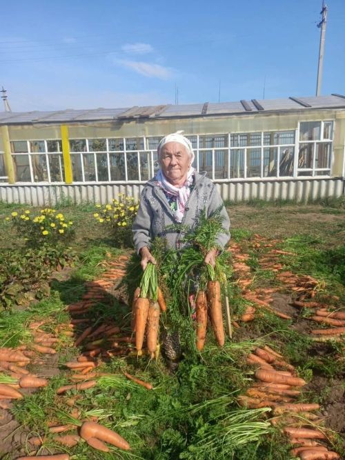 Фото 85-летней жительницы Сосново разошлось по интернету с молниеносной скоростью