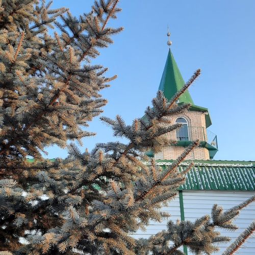 Прогноз погоды на 11 ноября