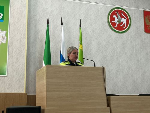 Старший инспектор отделения ГИБДД Лейла Юсупова рассказала о смертельных ДТП в Агрызском районе (ФОТО)