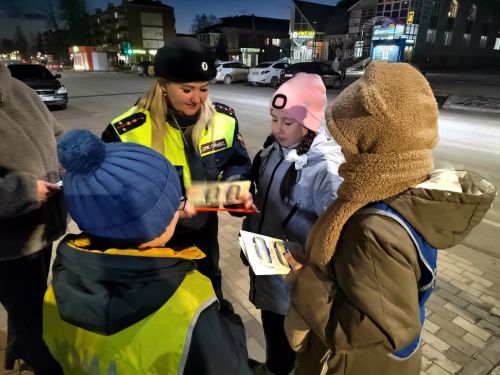В Агрызе прошла профилактическая акция «Засветись»