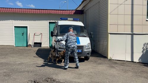 Суд в Агрызском районе отправил мужчину в колонию за сбыт синтетических наркотиков
