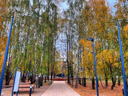 Прогноз погоды в Агрызе на завтра