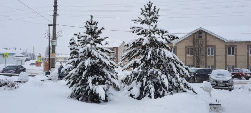 Прогноз погоды на 26 декабря