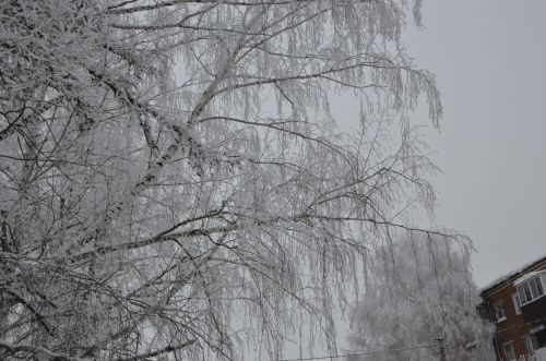 Прогноз погоды в Агрызе на 27 декабря