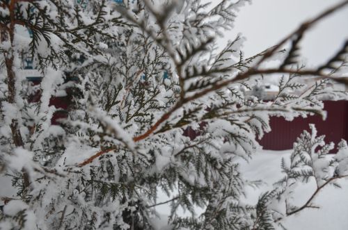 Прогноз погоды на 28 декабря
