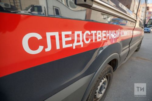 Әгерҗедә 6 яшьлек баланы кыйнаган хатыннан компенсация түләткәннәр