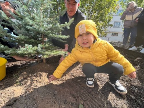 8 дворов будут отремонтированы в Агрызе по программе «Наш двор»