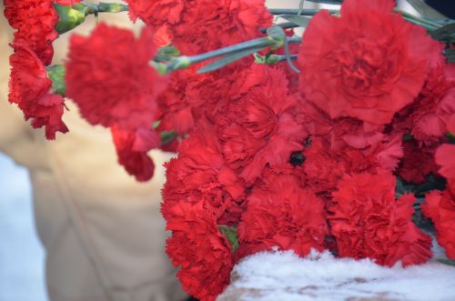 Агрызцы отметили 34-ю годовщину вывода советских войск из Афганистана