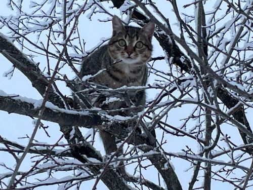 Прогноз погоды на 21 января