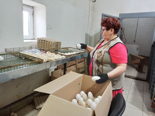 Агрызский район удобный для птицеводства
