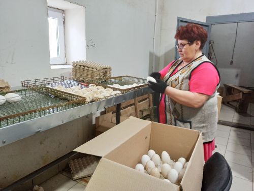 Агрызский район удобный для птицеводства