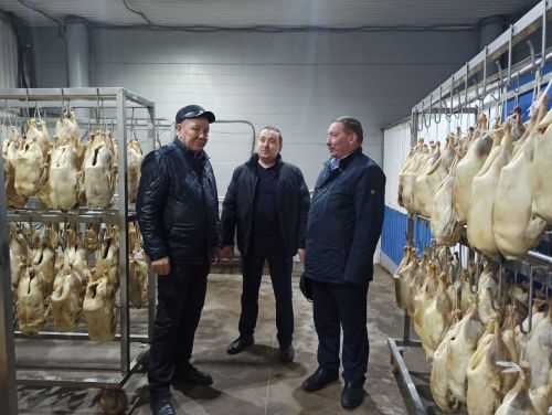 Агрызский район удобный для птицеводства