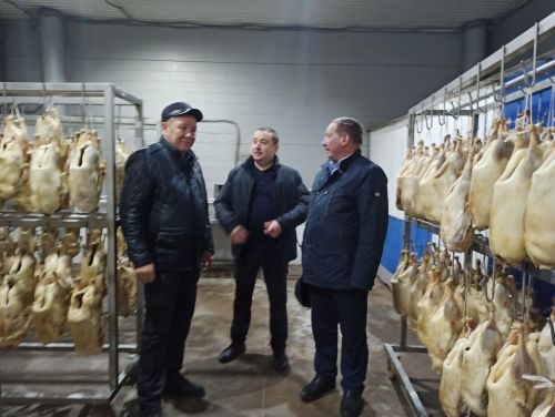 Агрызский район удобный для птицеводства