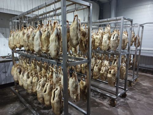 Агрызский район удобный для птицеводства