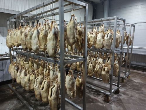 Агрызский район удобный для птицеводства
