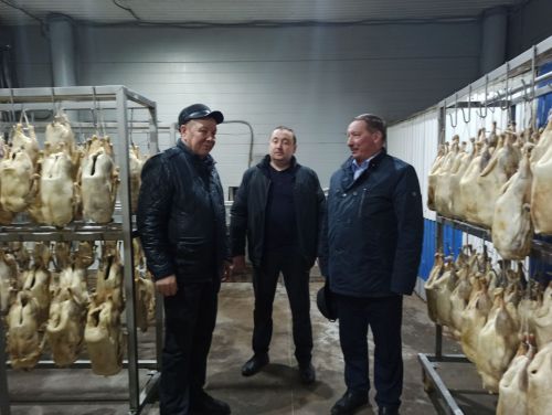 Агрызский район удобный для птицеводства