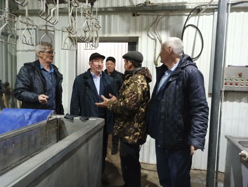 Агрызский район удобный для птицеводства
