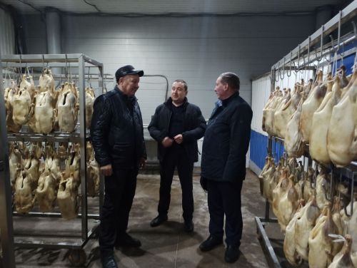 Агрызский район удобный для птицеводства