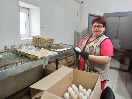 Агрызский район удобный для птицеводства
