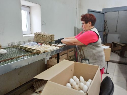 Агрызский район удобный для птицеводства