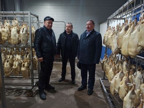 Агрызский район удобный для птицеводства