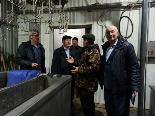 Агрызский район удобный для птицеводства